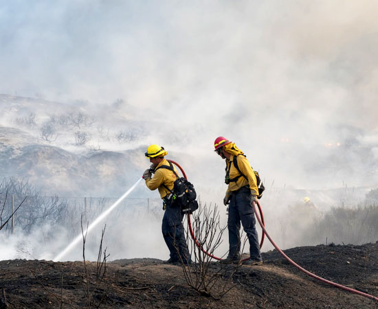 Firefighters